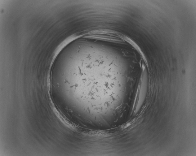 X0000082730811200702091836