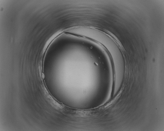 X0000082730812200702091836