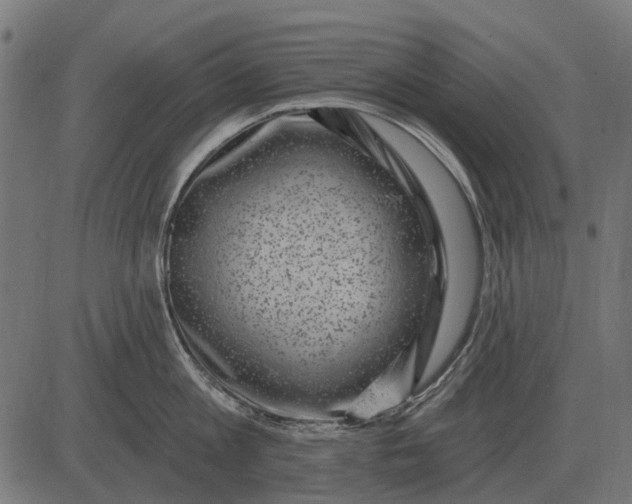 X0000082730813200702091836