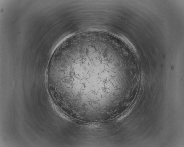 X0000082730814200702091836