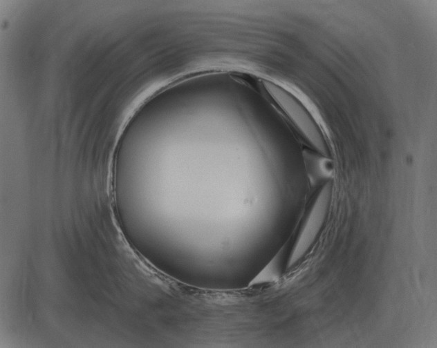 X0000082730815200702091836