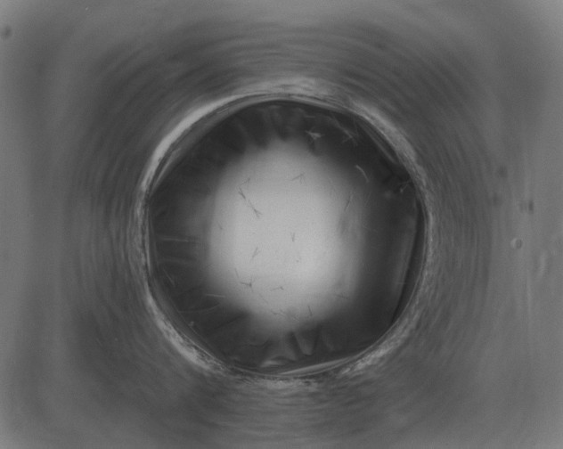 X0000082730816200702091836