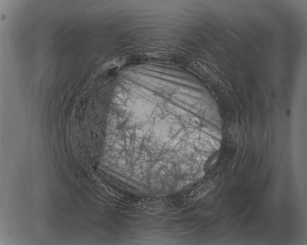 X0000082730817200702091835