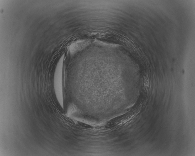 X0000082730818200702091835