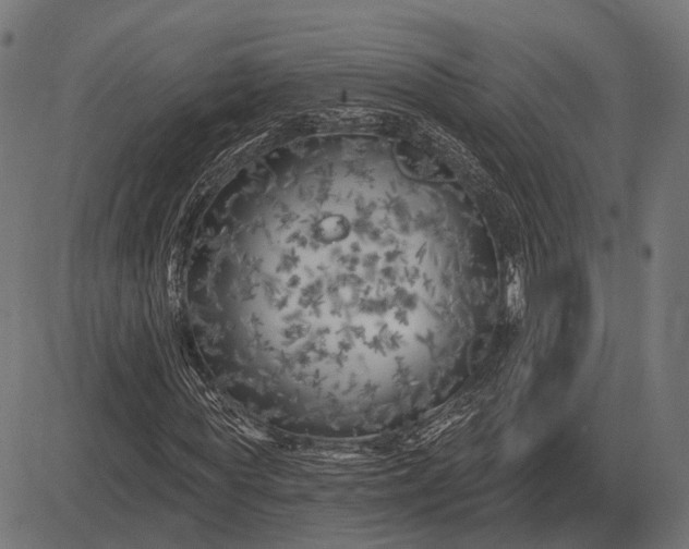 X0000082730819200702091835