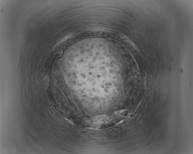 X0000082730821200702091835