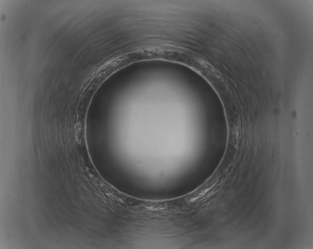 X0000082730822200702091835