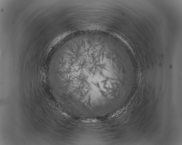 X0000082730823200702091835