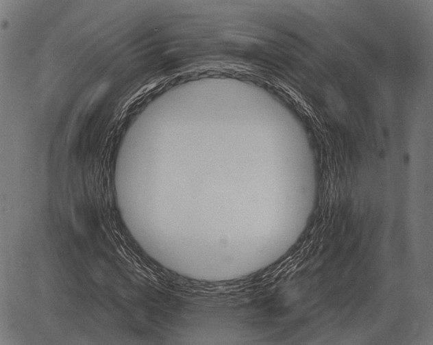 X0000082730824200702091835