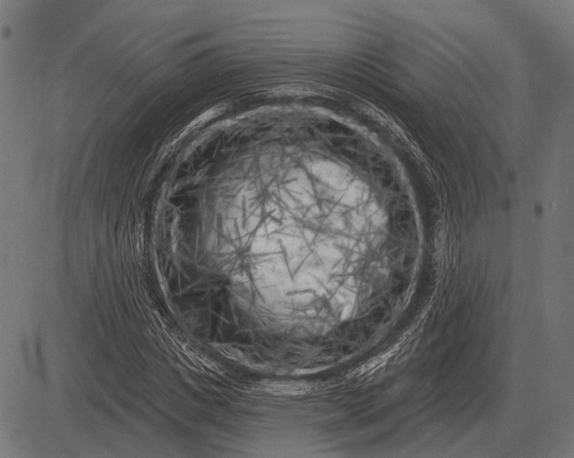 X0000082730825200702091835