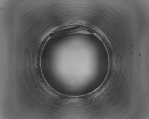 X0000082730826200702091835