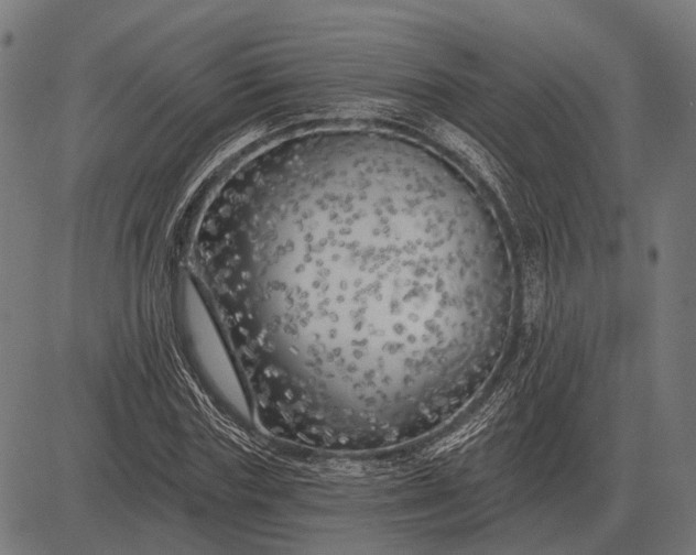 X0000082730827200702091835