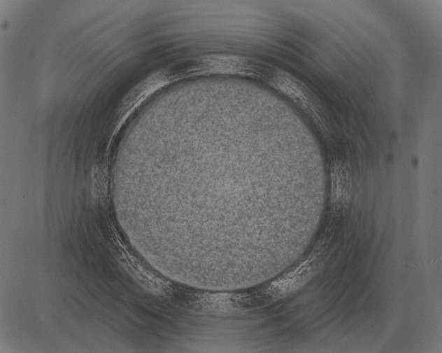 X0000082730828200702091835