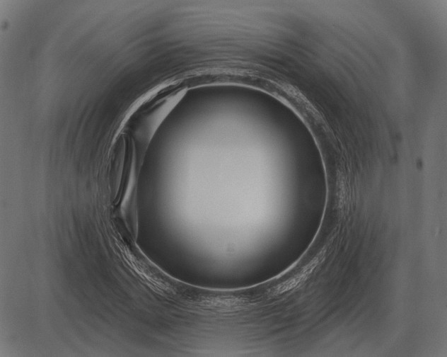 X0000082730830200702091835