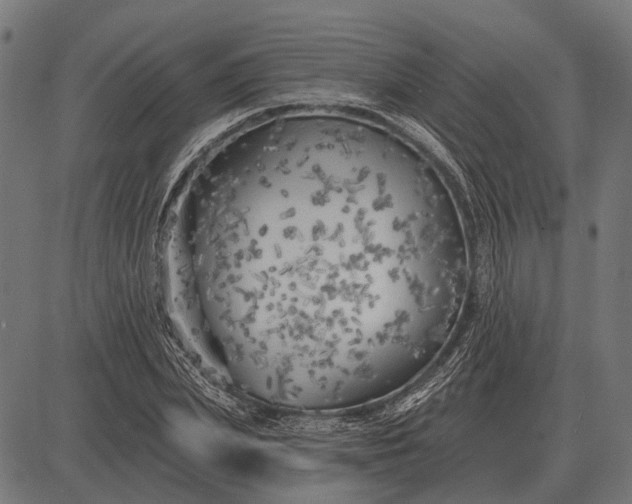 X0000082730831200702091835