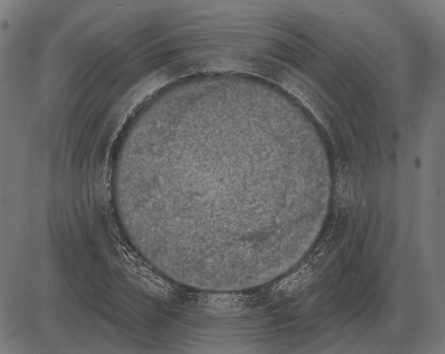 X0000082730832200702091835