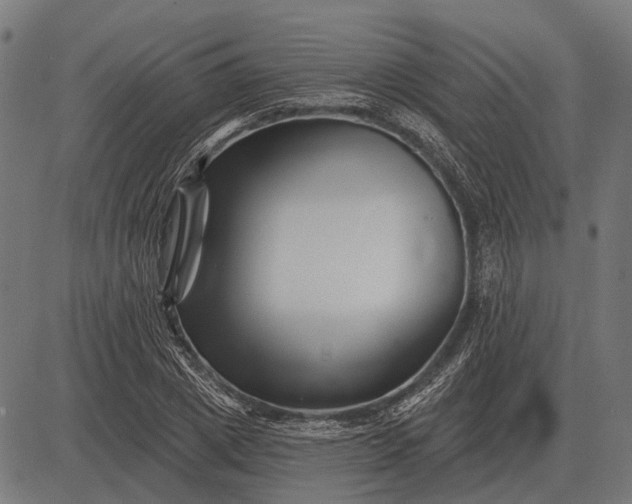 X0000082730833200702091835