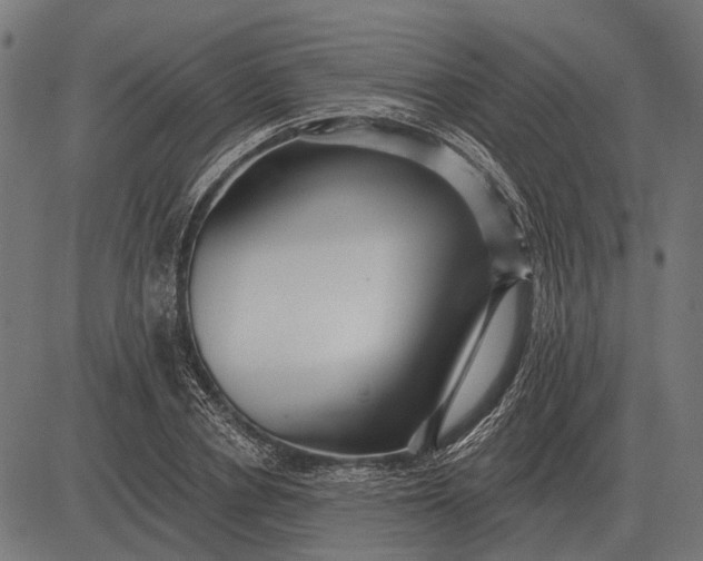 X0000082730834200702091835