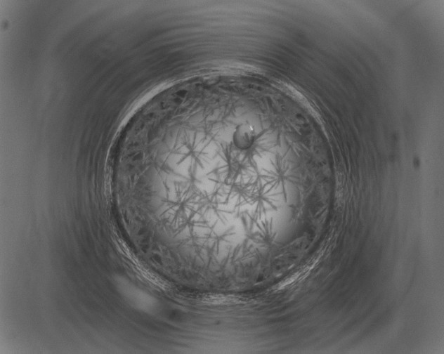 X0000082730835200702091835