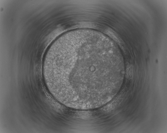 X0000082730836200702091835