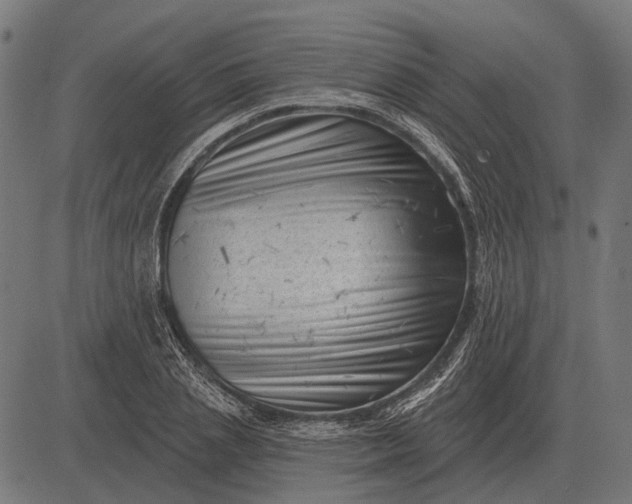 X0000082730837200702091835