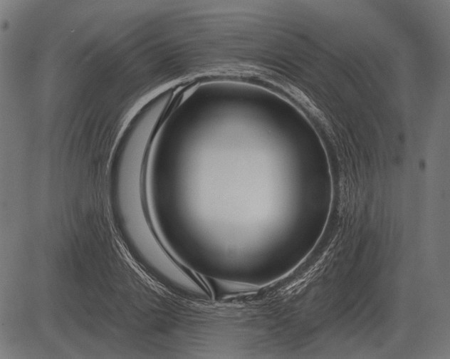 X0000082730838200702091835