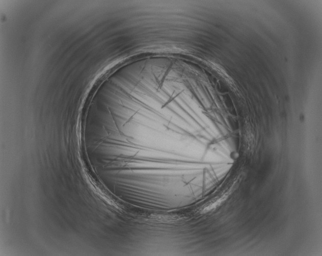 X0000082730840200702091835