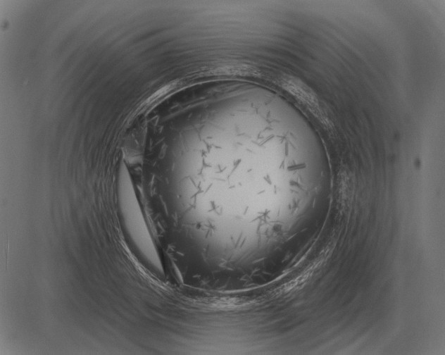 X0000082730841200702091835