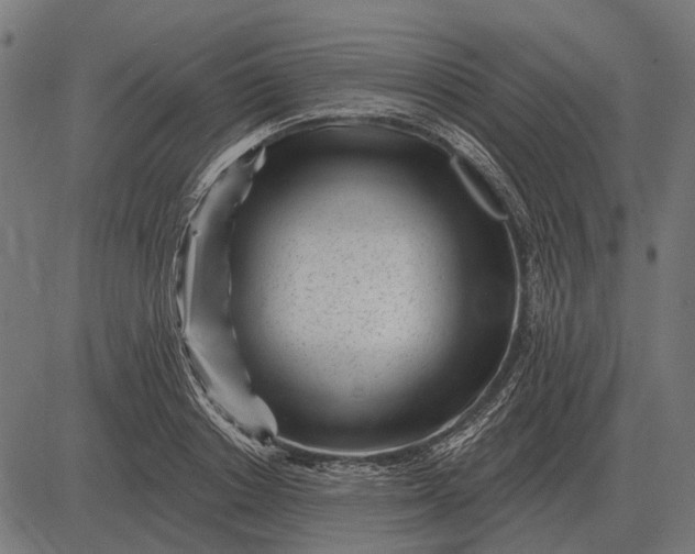 X0000082730842200702091836