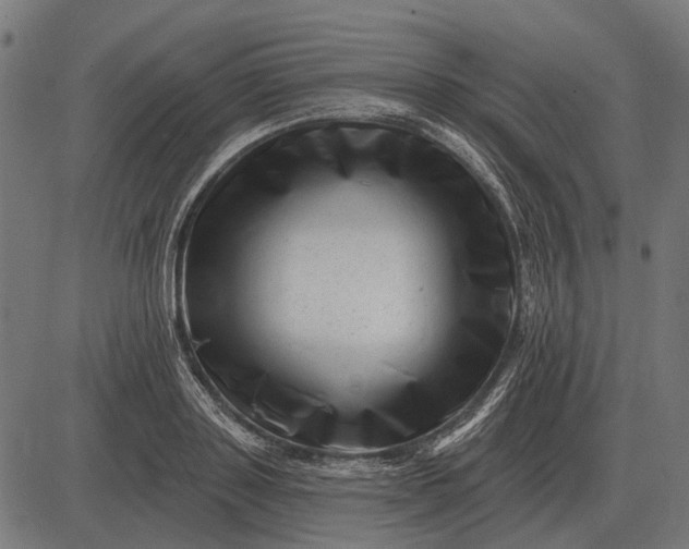 X0000082730843200702091836