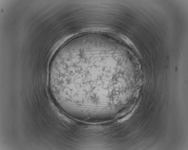 X0000082730844200702091836