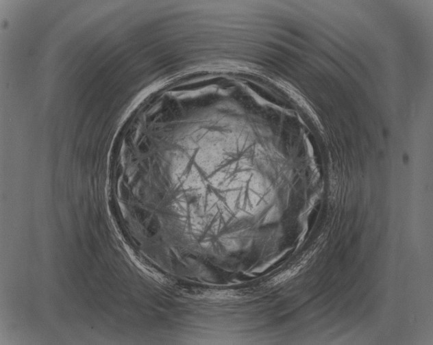 X0000082730845200702091836