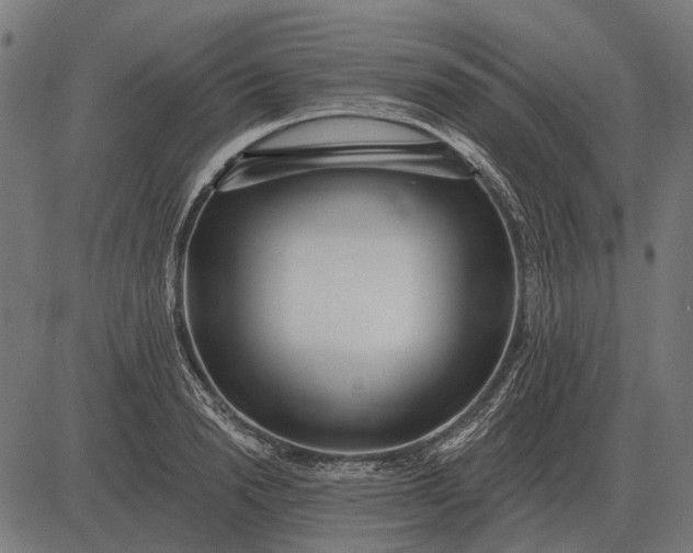 X0000082730846200702091836