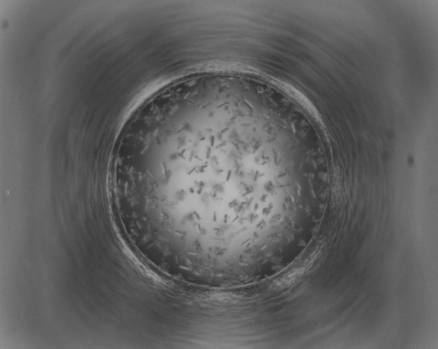 X0000082730847200702091836