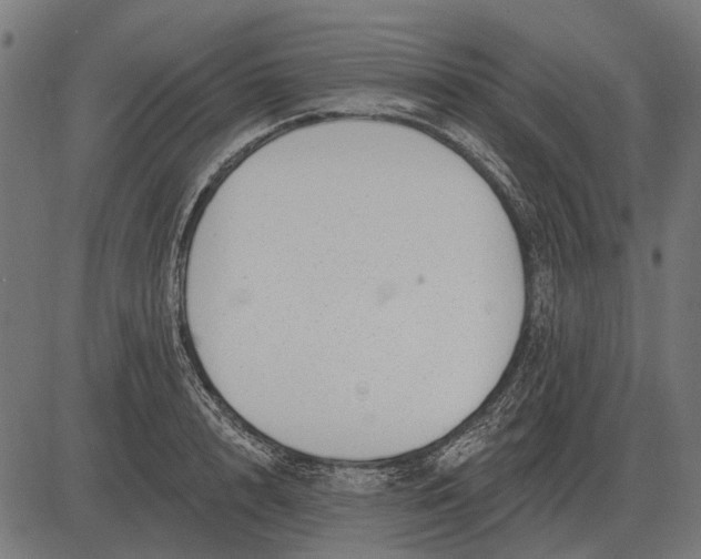 X0000082730848200702091836