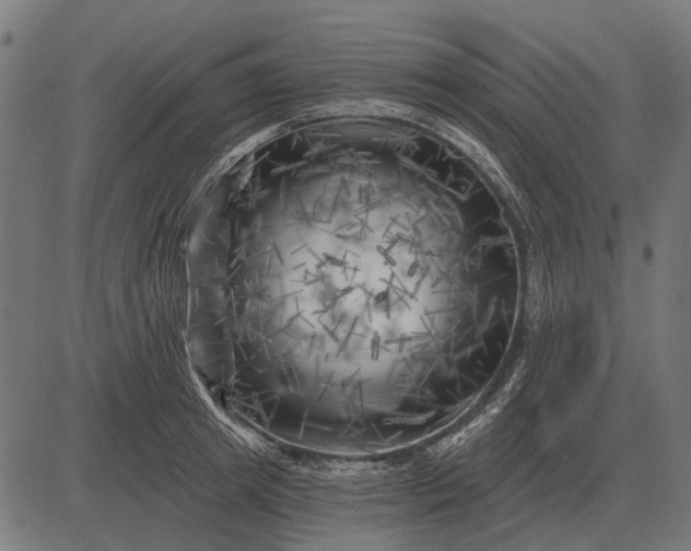 X0000082730849200702091836