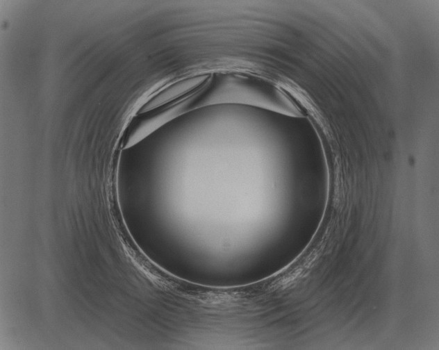 X0000082730850200702091836