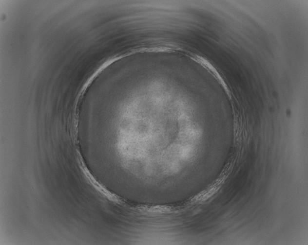 X0000082730851200702091836