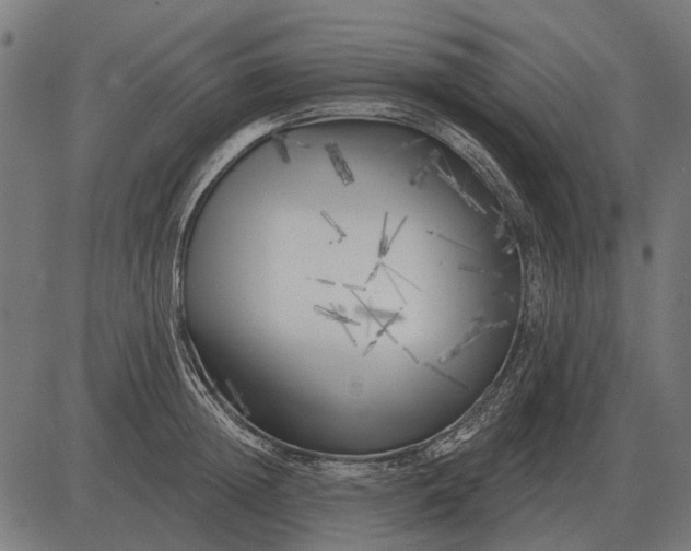 X0000082730852200702091836