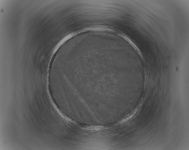 X0000082730853200702091836