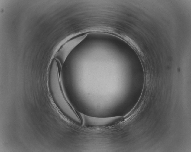 X0000082730854200702091836