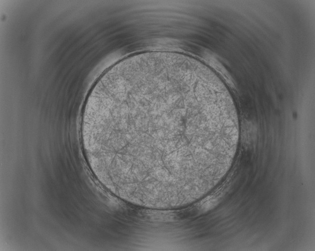 X0000082730856200702091836