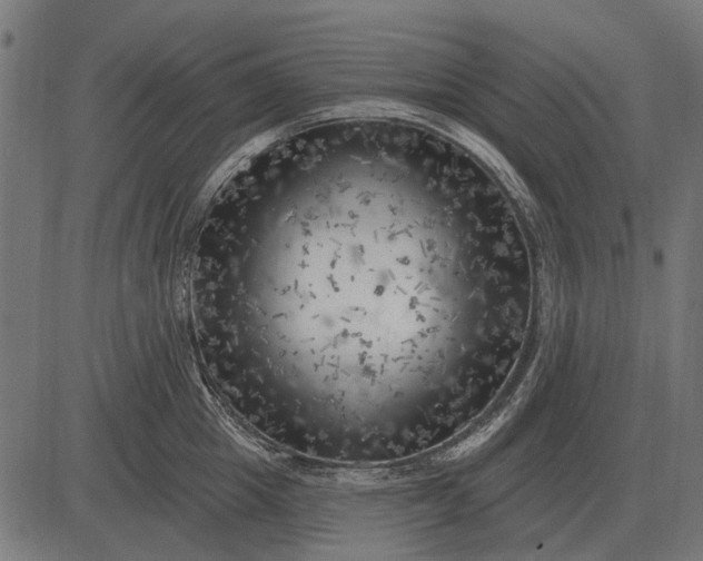 X0000082730857200702091836