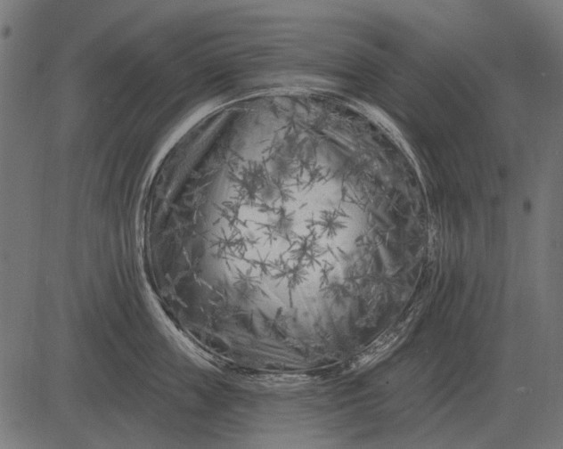 X0000082730859200702091836