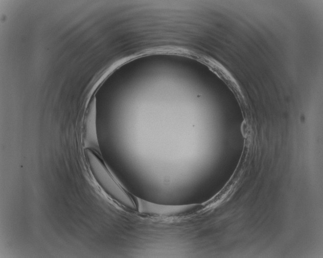 X0000082730860200702091836