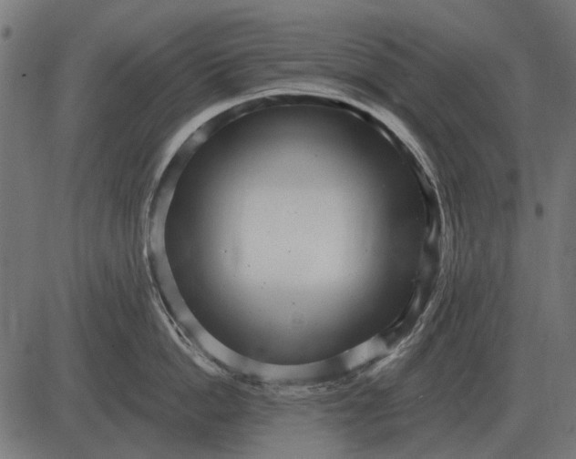 X0000082730862200702091836