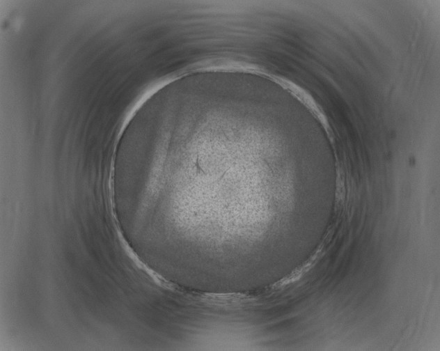 X0000082730863200702091836