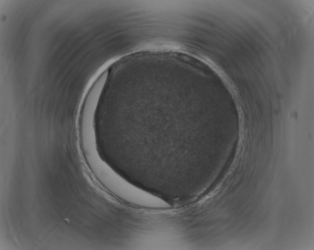 X0000082730864200702091836