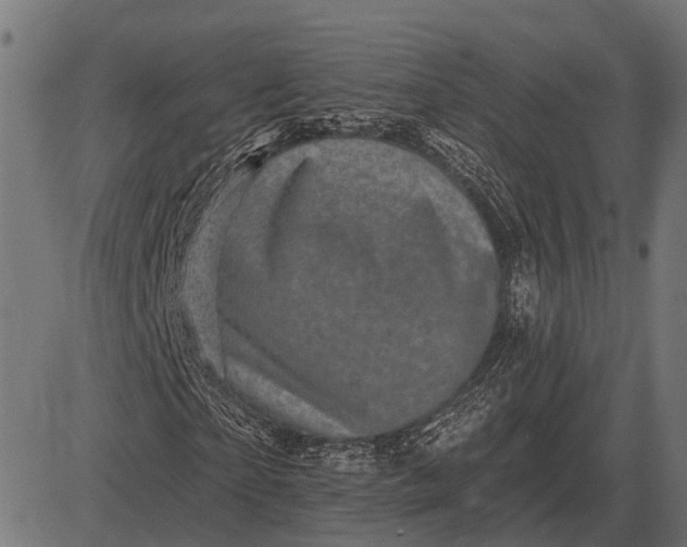 X0000082730865200702091835