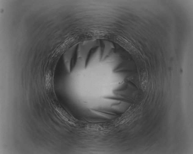 X0000082730866200702091835